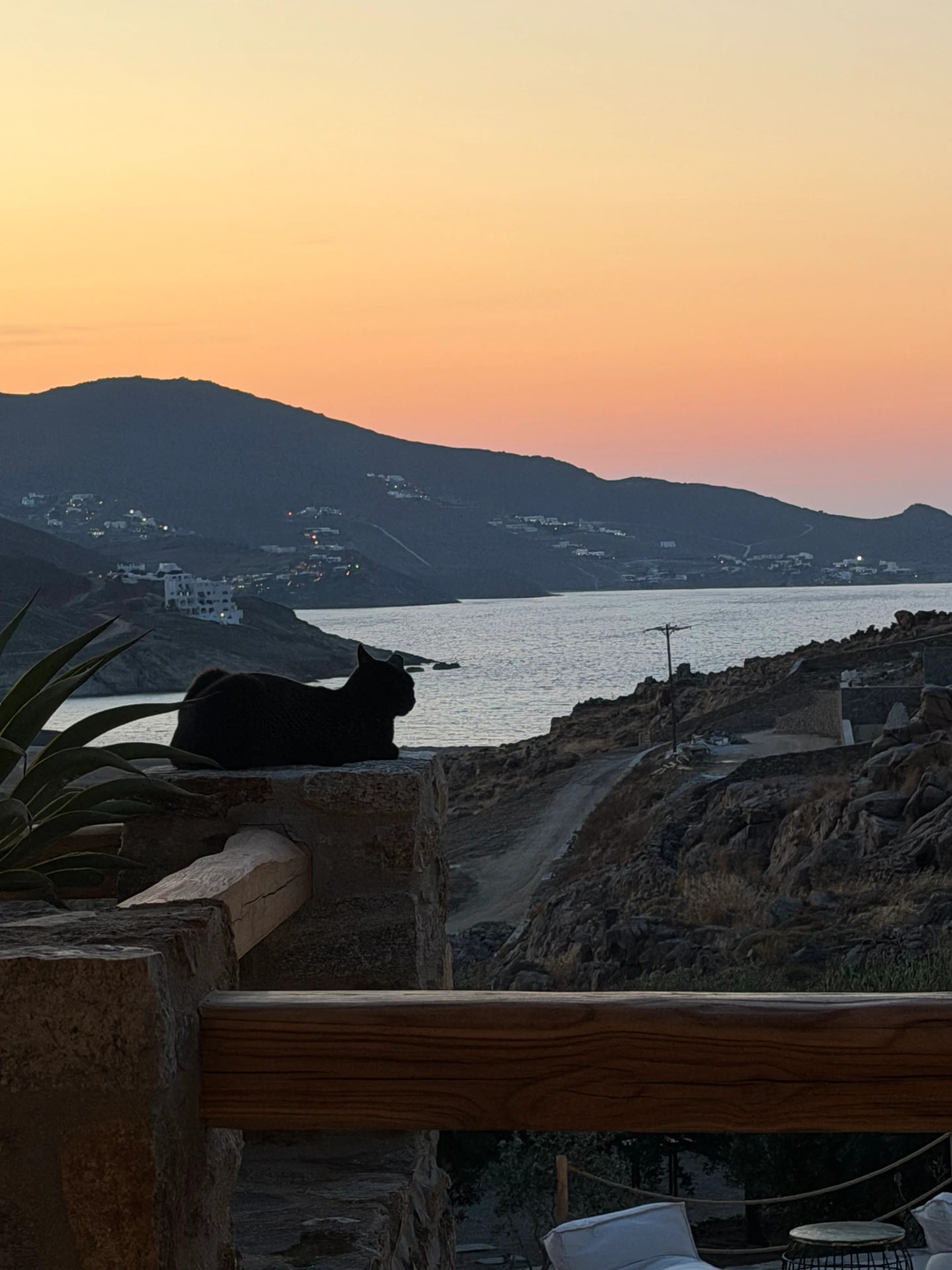 A black cat resting on a rustic stone wall overlooking the bay at dusk