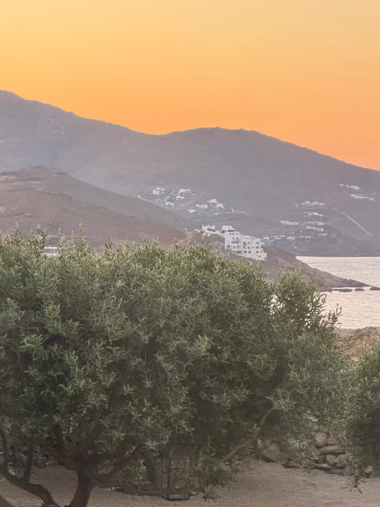 An olive tree framing rolling hills dotted with white villas against a vibrant orange sunset sky