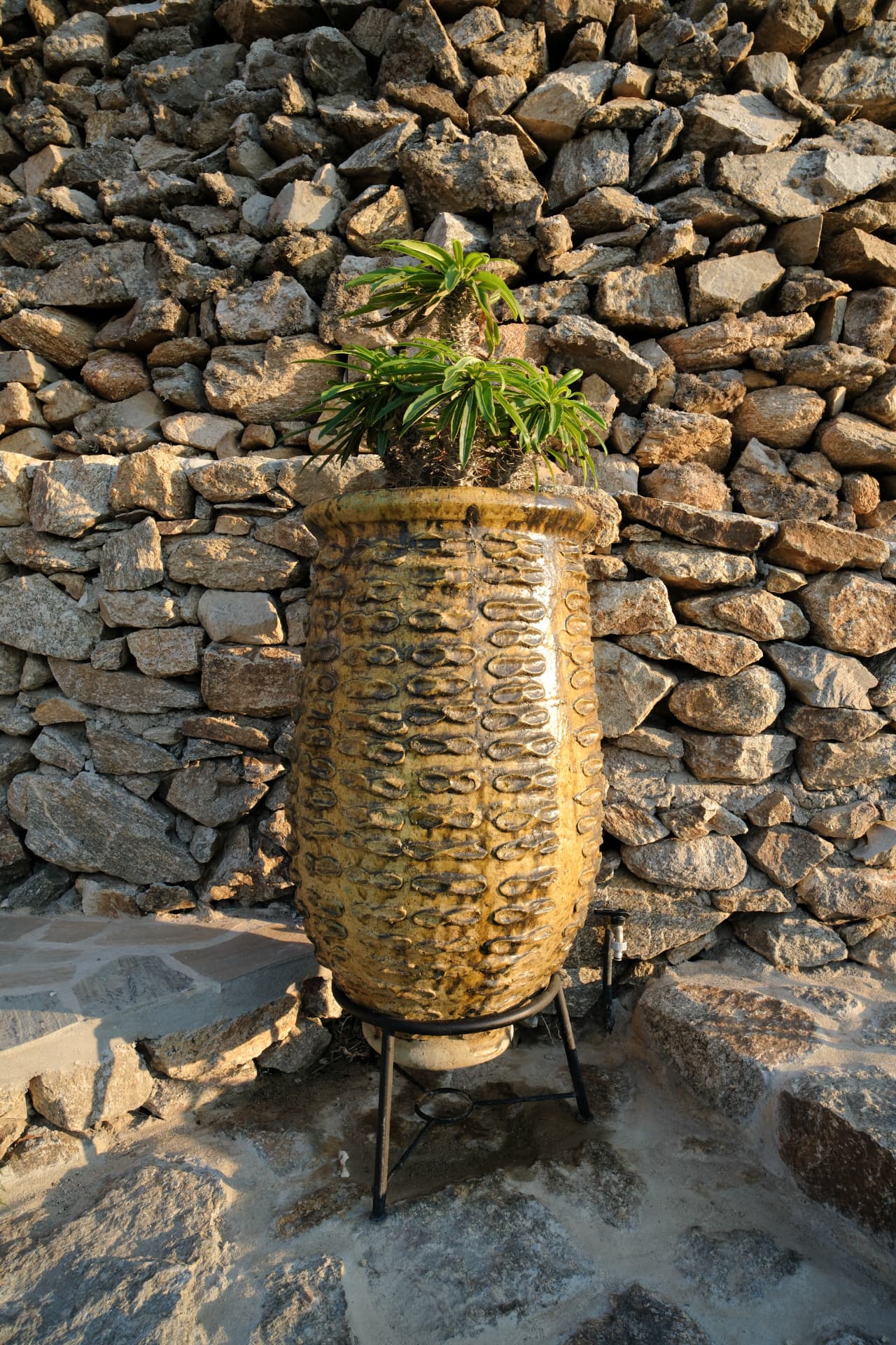 A tall ochre-and-gold glazed ceramic planter on a black metal stand against a rustic dry-stone wall, holding a green succulent